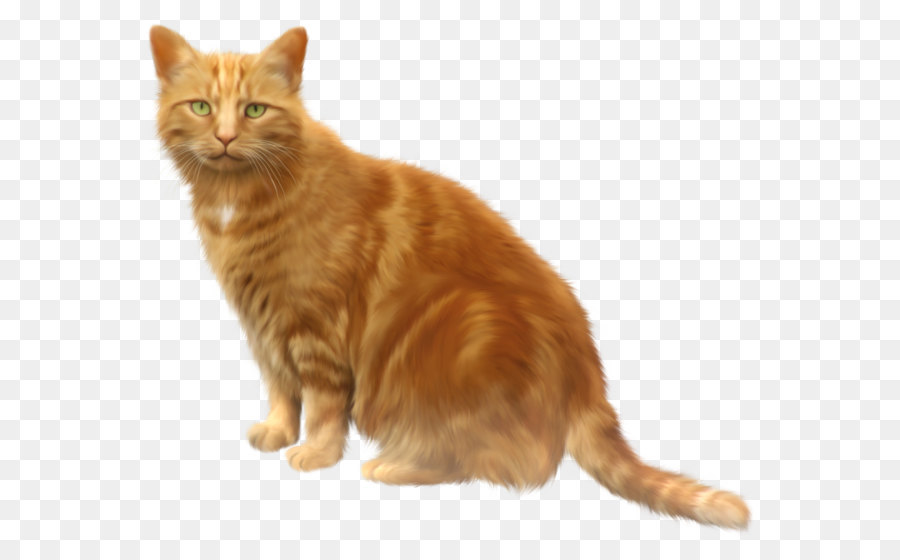 Rätsel Android Anwendung Paket Puzzle Spiel - Katze Png 11