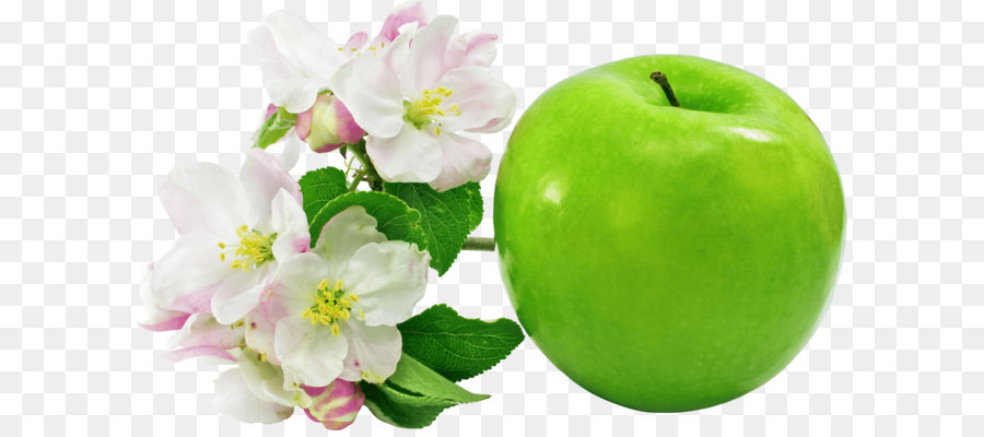Apple Symbol Bild format Clip art - Green Apple png Bild