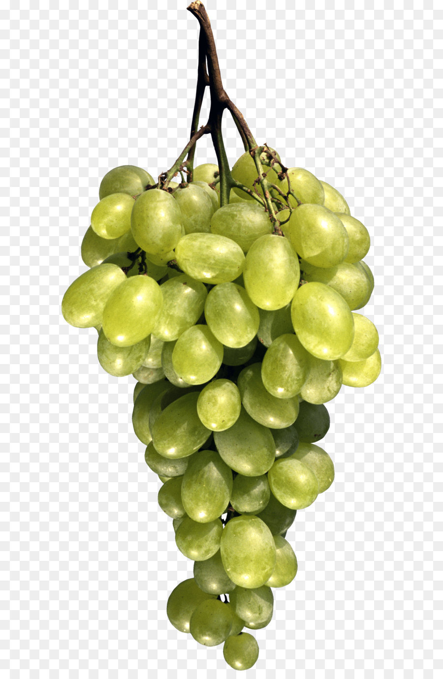 Traubensaft Traube Saft Obst - Green grape PNG Bild