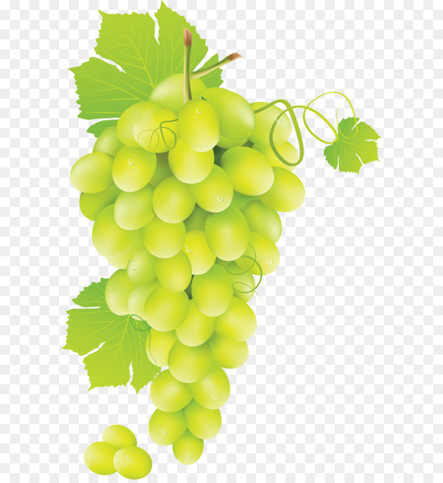 Grape Cartoon png download - 2384*3570 - Free Transparent Wine png  Download. - CleanPNG / KissPNG