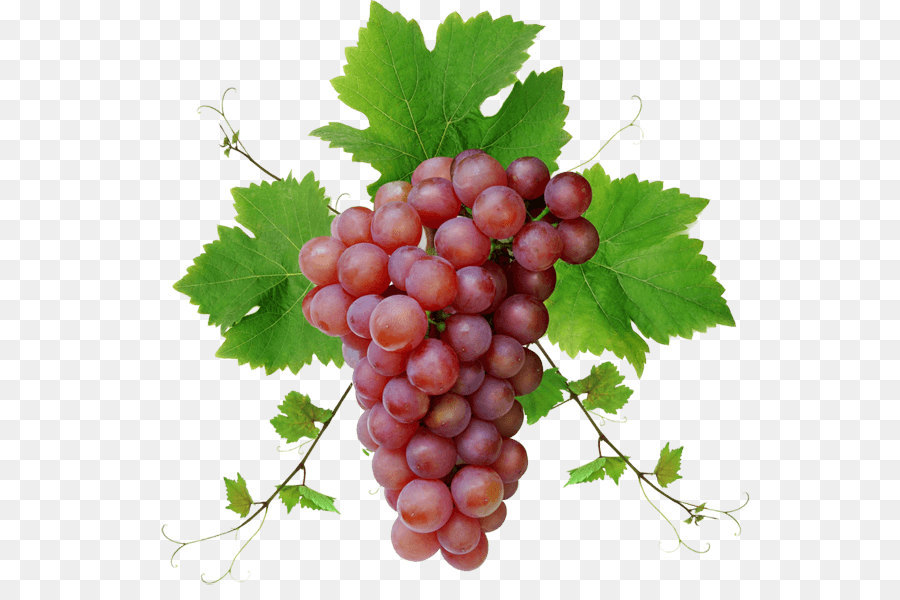 Vino Rosso, Uva Shiraz - Uva Immagine Png Di Immagine Per Il Download