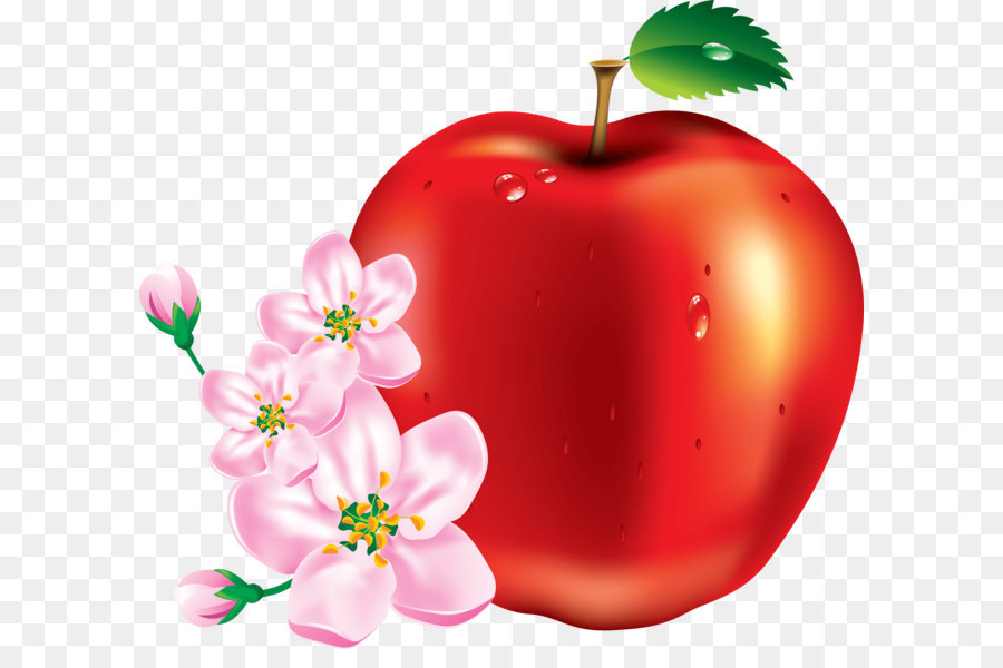 Apple Frutta Clip art - Mela Rossa Immagine Png