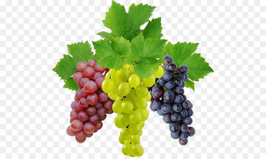 Wein Trauben Obst Essen - Traube Png Bild Herunterladen