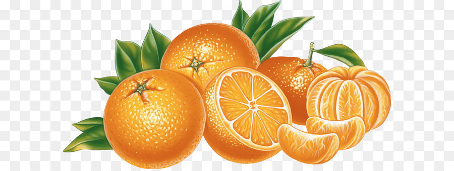 Citrus × sinensis Arancione Clip art - Orange Immagine Png Download