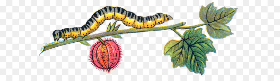 Caterpillar Inc. Clip art - Caterpillar Bild