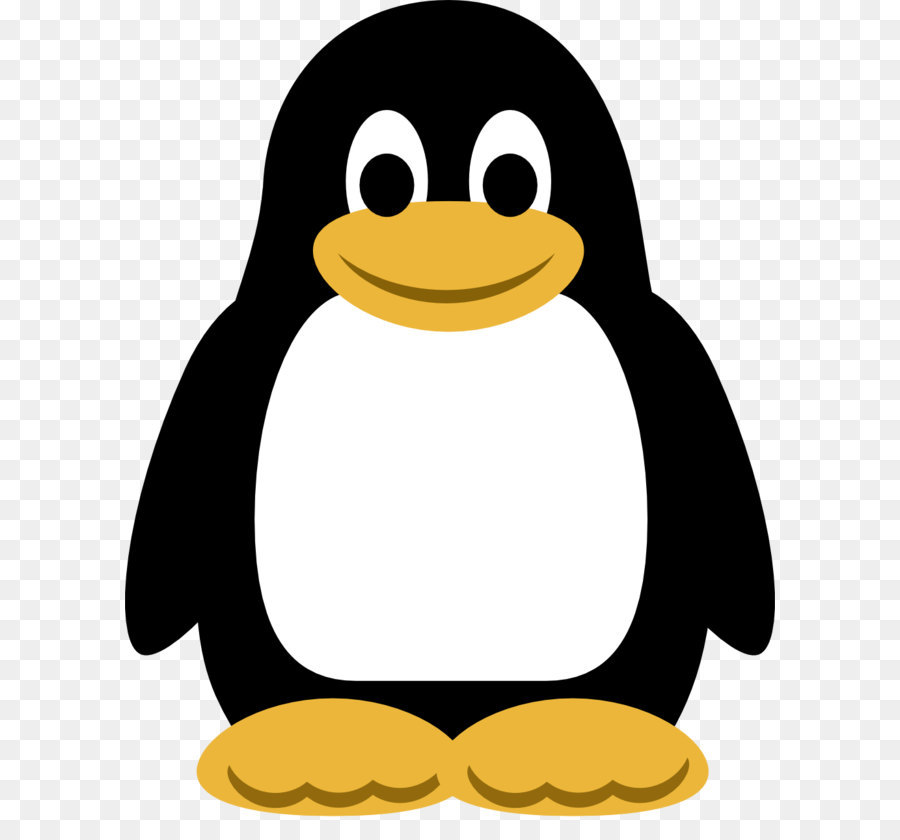 Penguin Cartoon png download - 999*1278 - Free Transparent Penguin png  Download. - CleanPNG / KissPNG
