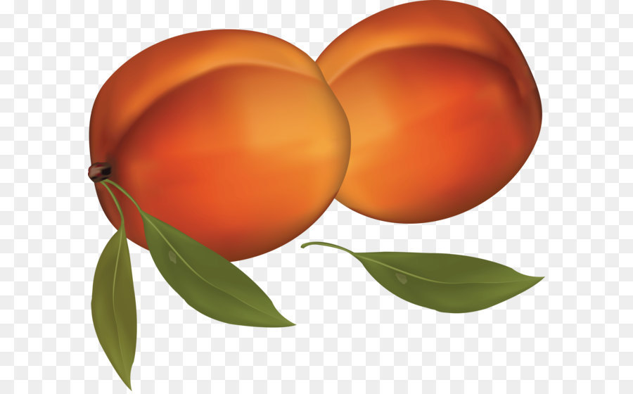 Pfirsiche und Sahne clipart - Peach PNG Bild