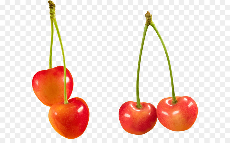 Cerasus Sweet Cherry Fruit Berry Clip art - cherry PNG Bild