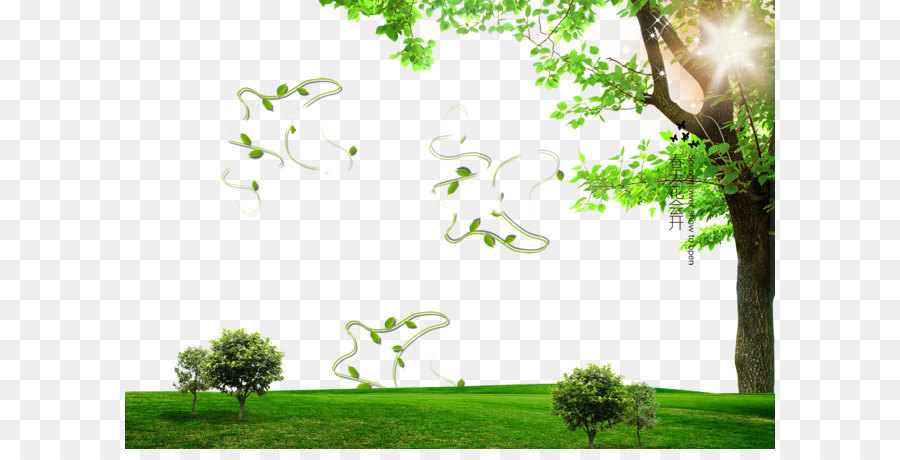 Green Grass Background img