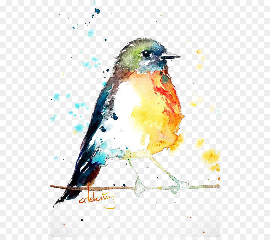 Chim châu Âu robin Màu nước sơn Vẽ - chim