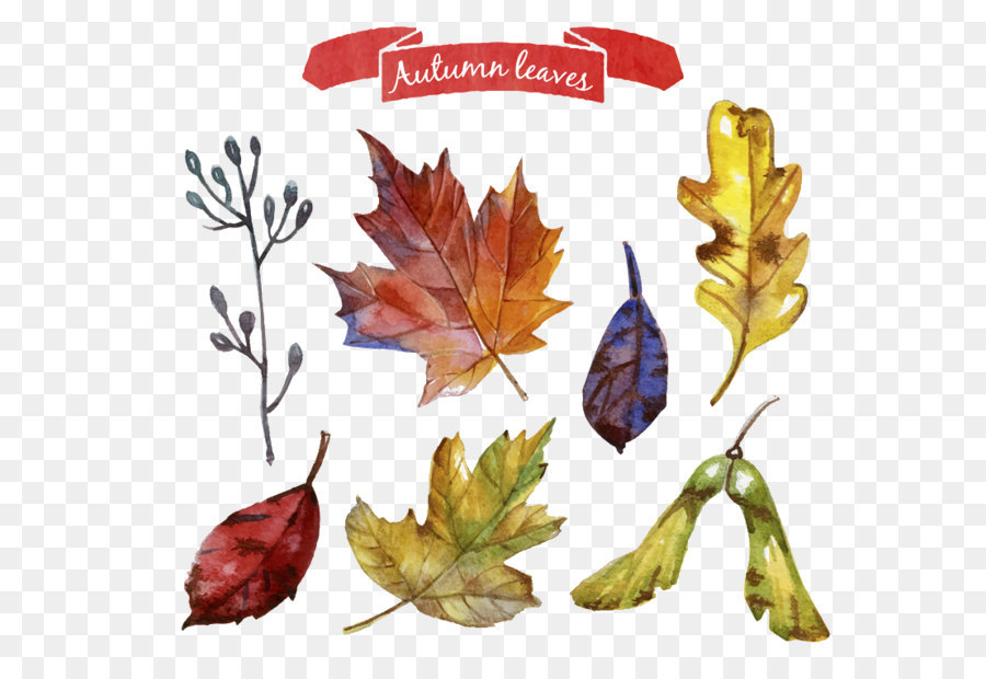 Herbst Blätter Kranz Vektor material