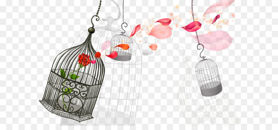 Cartone animato per Bambini, canzone Birdcage - Cartoon uccello in gabbia