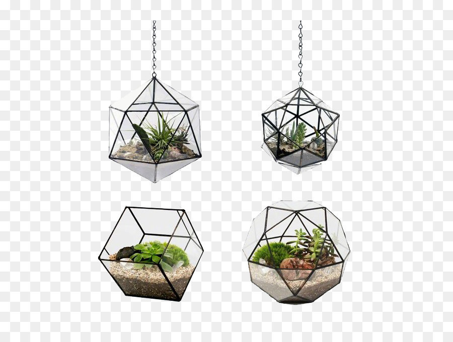 Blumentopf Terrarium Glas Android - Pflanze getopft Wand
