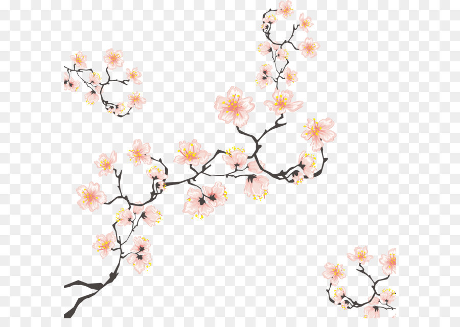 Cherry blossom Zeichnung Illustration - Kirschbaum Zweige