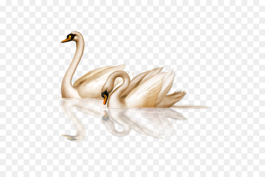 Black swan Chim Clip nghệ thuật - Thiên nga