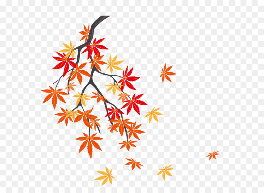Foglia d'autunno a colori, Maple leaf - La caduta delle foglie su un albero di acero