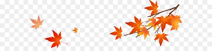 Testo Foglia, Illustrazione - foglie di autunno