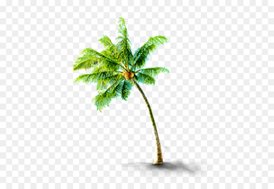 Coreldraw - tropischer Kokosnuss Bäume