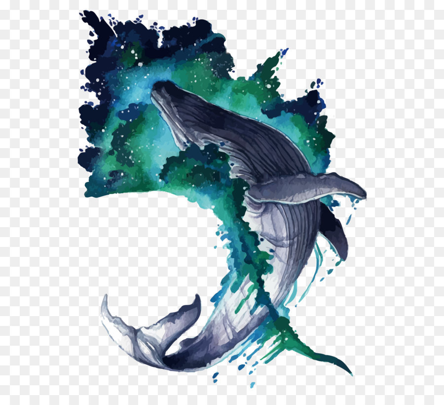 Balena dipinto ad Acquerello, Illustrazione - vettore di balena