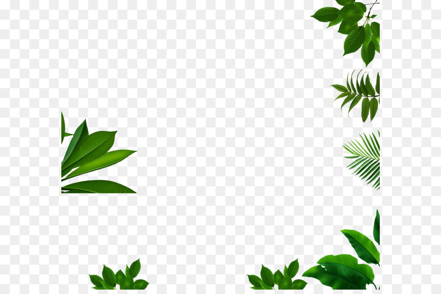 Download Clip Art - Alle Arten von green leaf