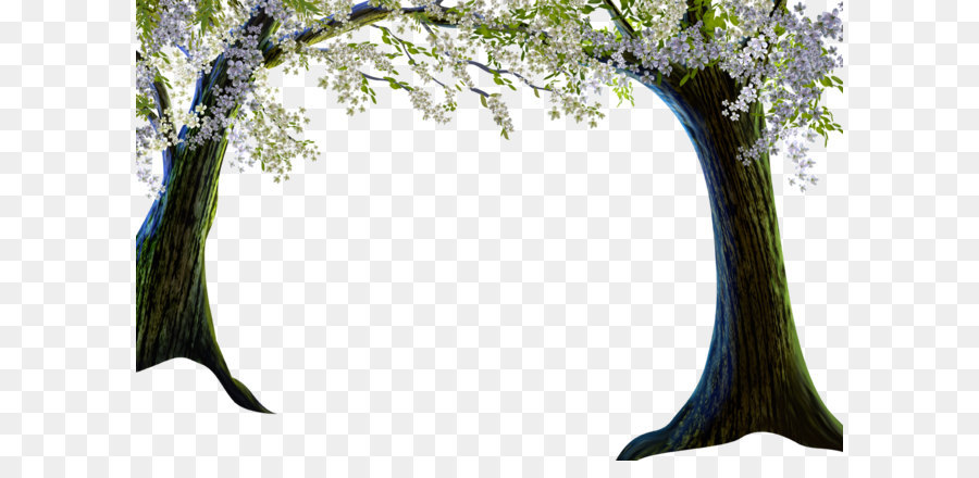 Cảnh với Hoa Sơn Clip nghệ thuật - Phim hoạt hình hoa anh đào cây anh đào