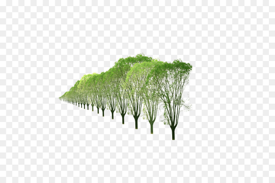 Zeile Computer-Datei - eine Reihe von Bäumen