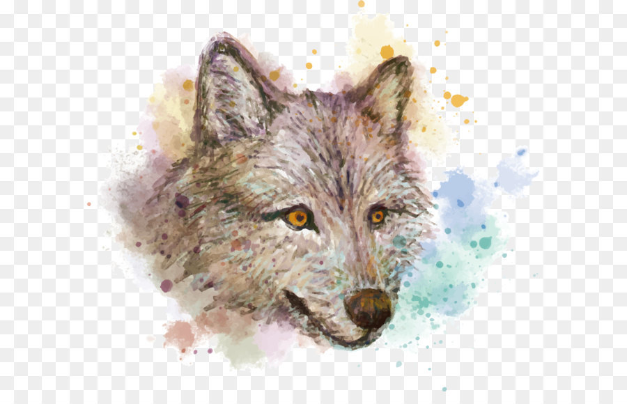 Lupo grigio pittura ad Acquerello Red fox Disegno - Vector mano acquerello dipinto a lupo