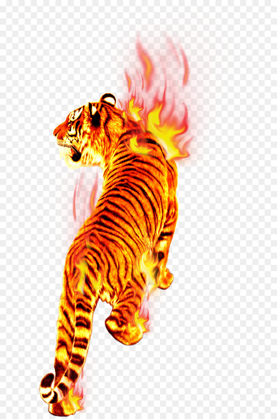 Ngọn Lửa Cháy Hổ Quá Trình Đốt Cháy - Con hổ trong ngọn lửa png ...