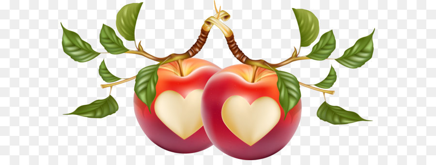 Herz geformte Apfel Vektor