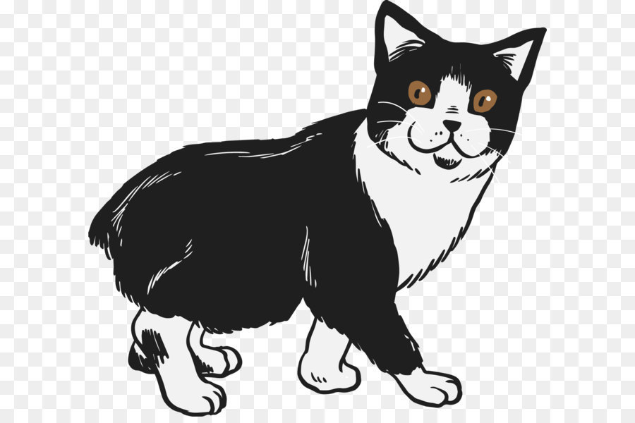Siamesen Katze, die Manx Katze, Bengal Katze American Bobtail Europäische Kurzhaar - Vektor hand gezeichneten schwarzen und weißen Katze