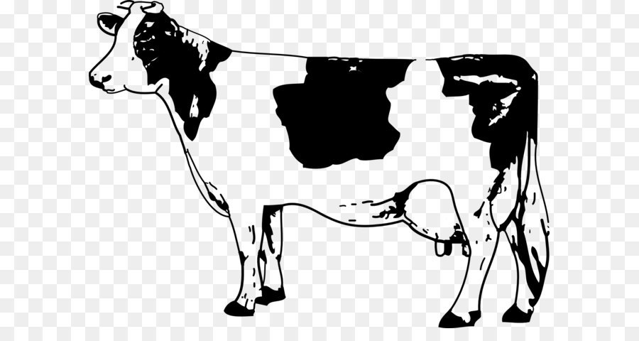 Maglia bovini Hereford bovini bovini Angus Holstein Friesian bovini bovini - Mucca immagine PNG