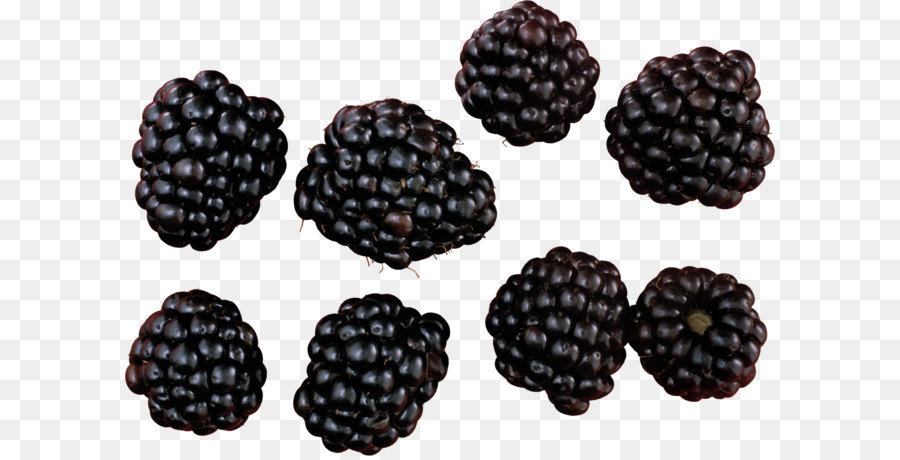 Blackberry - Blackberry PNG