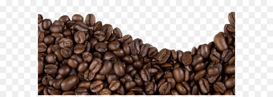 Chicco di caffè del caffè della montagna blu giamaicana - Chicchi di caffè di Immagine PNG