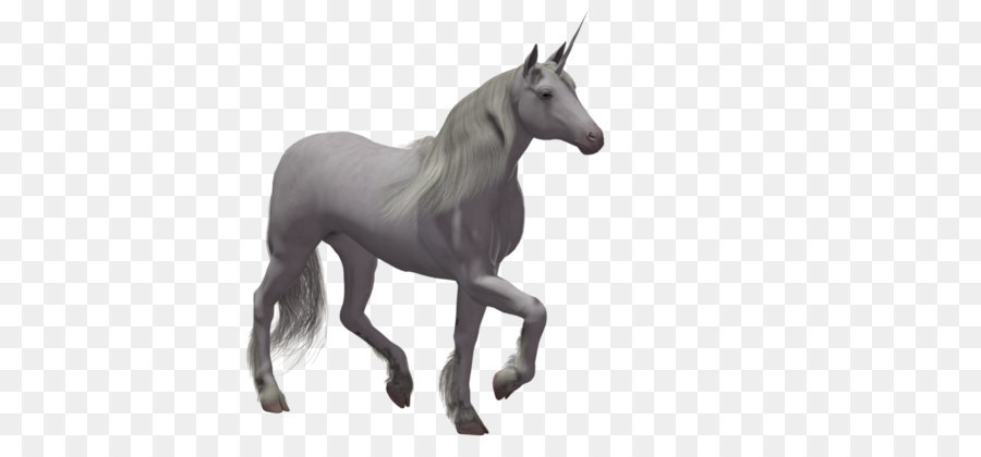 Unicorn PhotoScape - unicorno png
