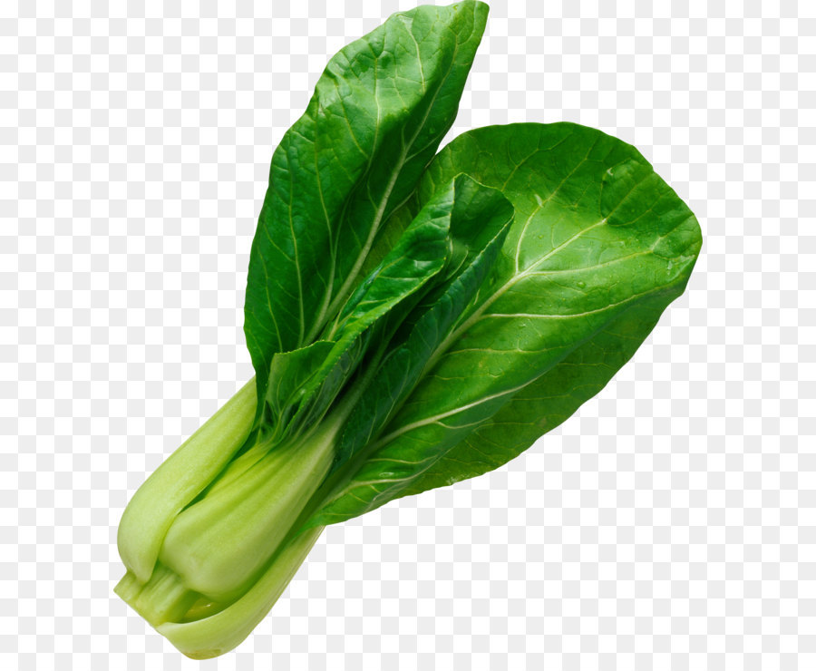 Chinakohl Bok choy Vegetarische Küche Gemüse Suppe - Salat Blätter PNG Bild
