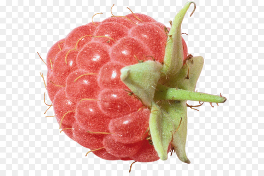 Rote Himbeere - Rraspberry PNG Bild