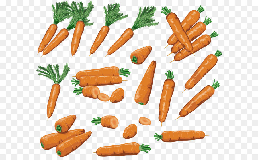 Carrot Cartoon