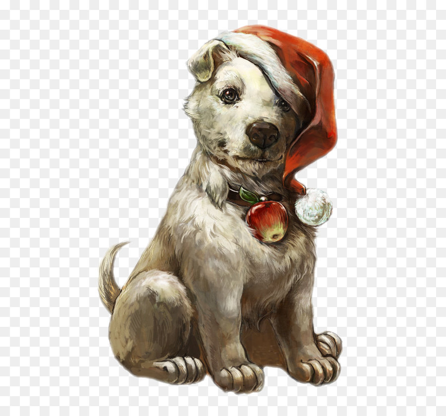 Hund tragen Weihnachten Hüte
