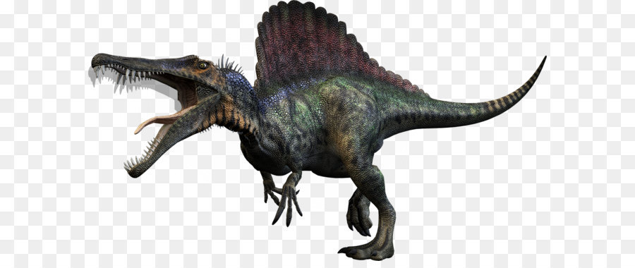 Spinosaurus per Carnivores: Dinosaur Hunter Tyrannosaurus Giganotosaurus Dinosauro di dimensioni - dinosauro png