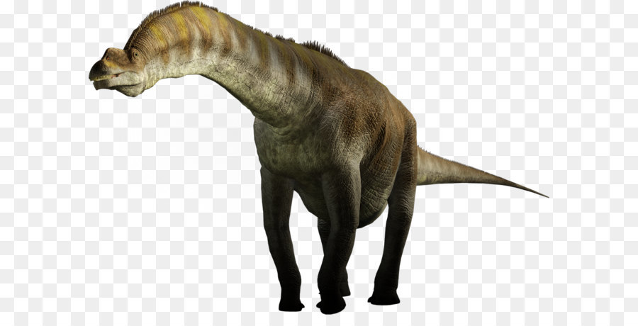 Argentinosaurus Dinosauro di dimensioni più Grande del Mondo Dinosauro Giganotosaurus Mapusaurus - dinosauro png