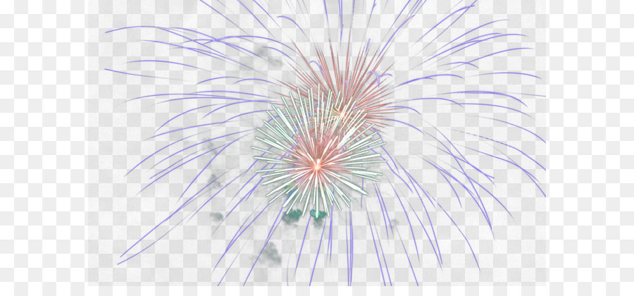 Simmetria Modello Petalo - png di fireworks