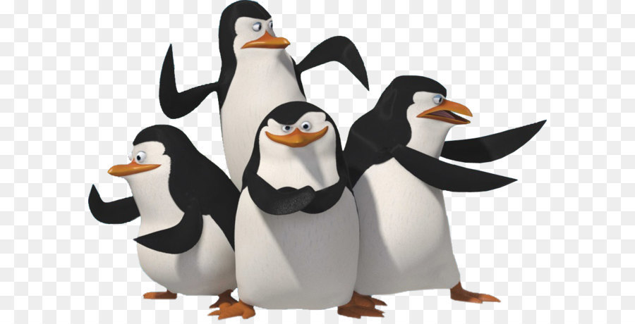 Skipper Pinguin Madagascar DreamWorks Animation - Madagaskar Pinguine PNG