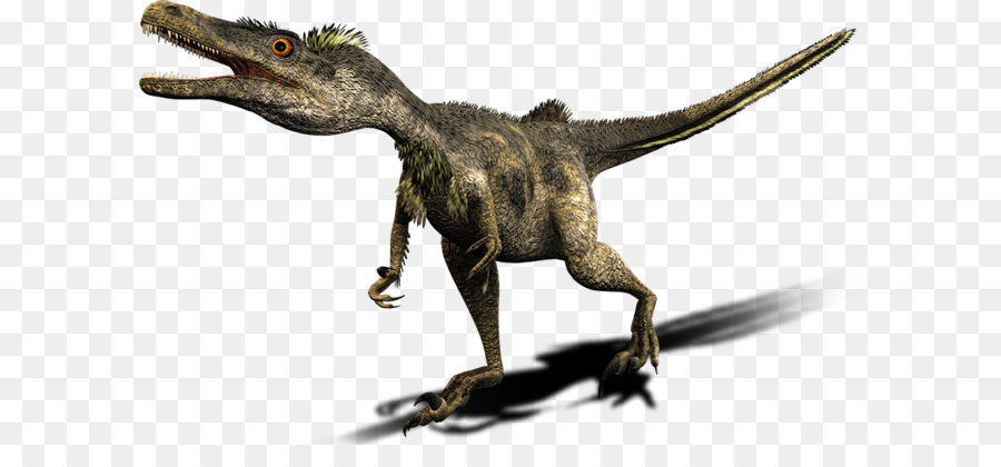 Dinosaurier Deinonychus wesendlich Weit Kreidezeit Velociraptor mongoliensis - Dinosaurier png