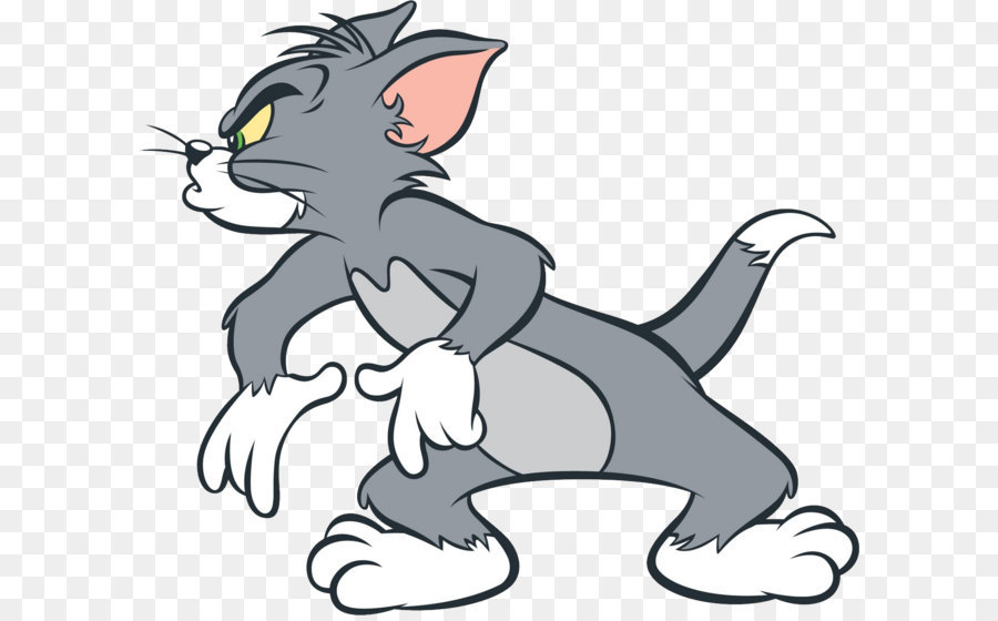 Jerry Mouse Gatto Tom Tom e Jerry Cartoon Network - Tom e Jerry PNG