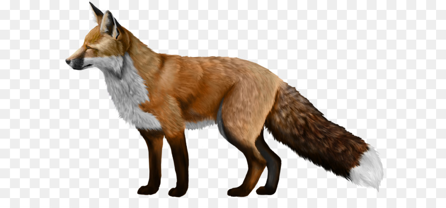 Red fox Akita Pferd Pinguin Kairaly Straße - Fox PNG