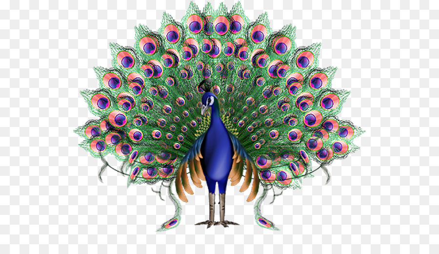 Krishna Hoạt Hình Công - peacock png