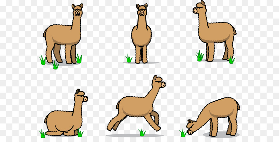 Stick figure di alpaca