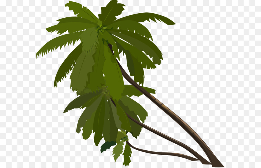 Hoạt hình Cây Arecaceae Clip nghệ thuật - cây cọ png