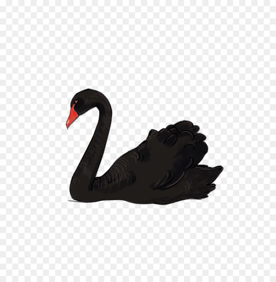 Duck Cartoon png download - 656*927 - Free Transparent Black Swan png  Download. - CleanPNG / KissPNG