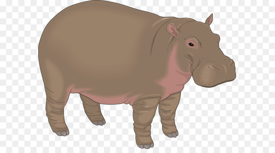 Hippopotamus Cartoon Clip Art - Hippo PNG